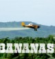 plantage_420x235