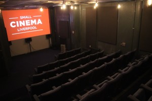 Small Cinema (interior)
